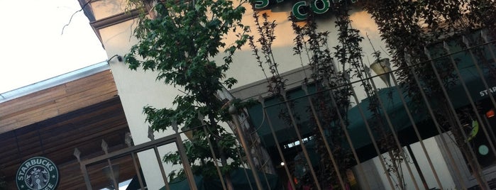 Starbucks is one of Lugares en Coyoacán.