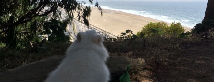 Sutro Heights Park is one of Pet the Pooch: Dog Friendly Places in the Bay Area.
