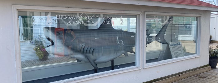 Ocean City Life-Saving Station Museum is one of Stuff To Do At The Beach.