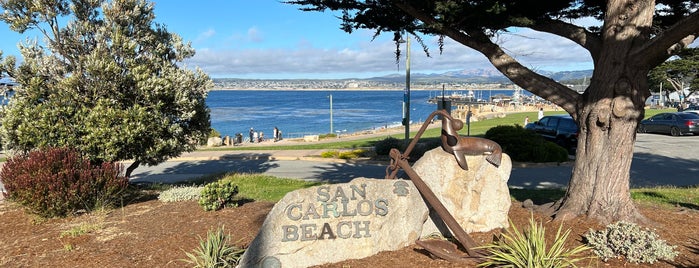 San Carlos Beach is one of สถานที่ที่บันทึกไว้ของ Darcy.