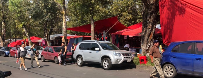 Tianguis De Jardines is one of Jorge’s Liked Places.