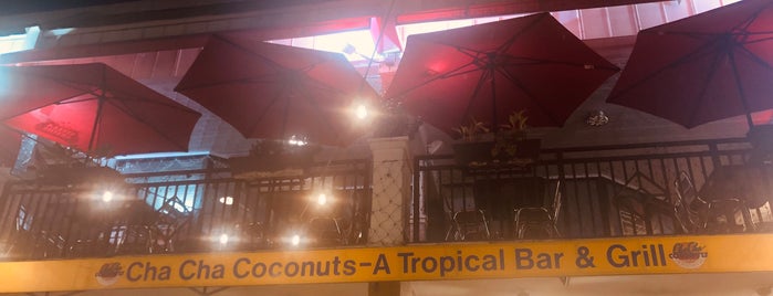 Cha Cha Coconuts is one of St Armands Circle.