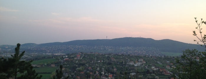 Aranyhegy is one of Budapest.
