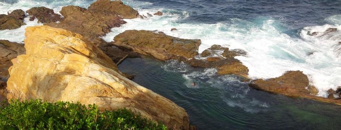 Bermagui Blue Pool is one of Lugares favoritos de Dave.