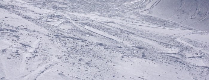 Col du Tonale is one of snowbording lombardia.