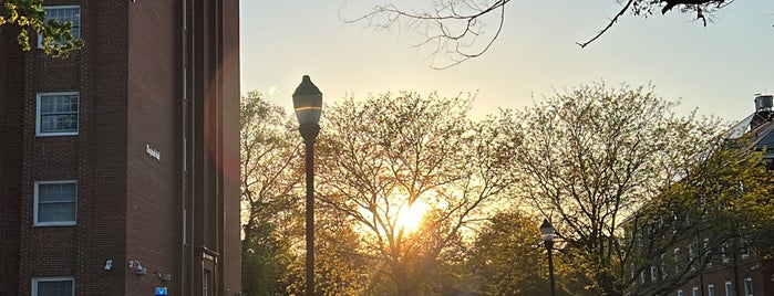 Salisbury University is one of Chapters and Colonies of Alpha Sigma Phi.