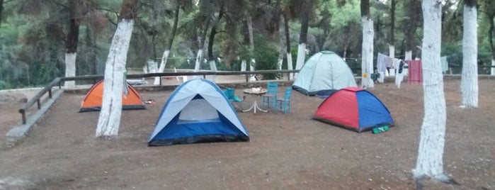 Camping Rocks! is one of Αλόννησος.