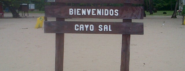 Cayo Sal is one of Venezuela.