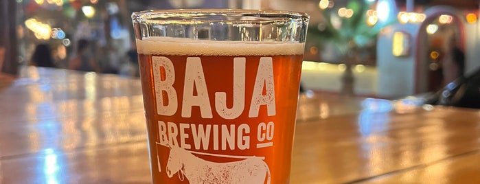 Baja Brewing Company is one of Lieux qui ont plu à Roberta.