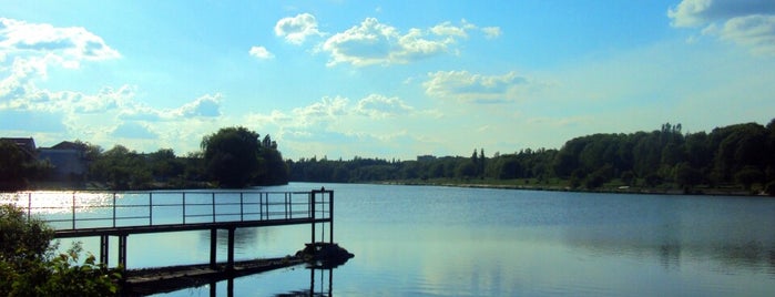 Вишенське озеро is one of Locais curtidos por Andrii.