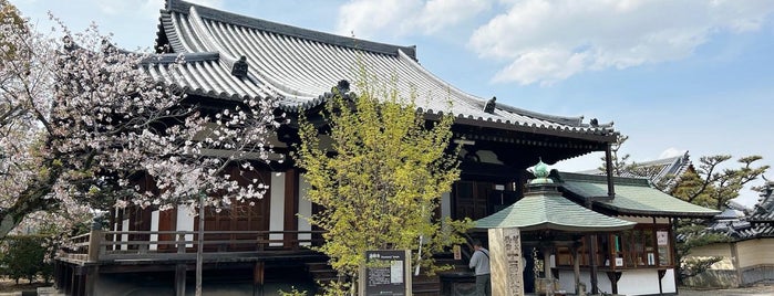 道明寺 is one of was_temple.