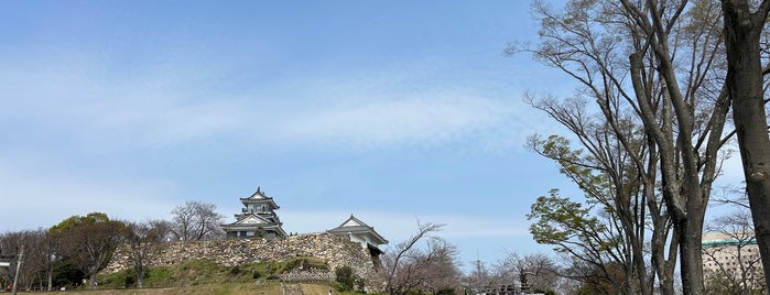 Hamamatsu Castle is one of Kt'ın Beğendiği Mekanlar.