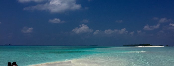 White Sand Dhigurah is one of mikkoさんのお気に入りスポット.