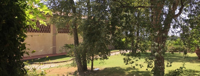 Azienda Vinicola Campo alla Sughera is one of Bibenda Toscana 2014.