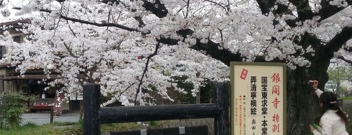 Philosopher's Path is one of 京都に旅行したらココに行く！.