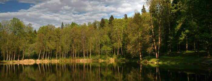 Малый городской пруд is one of красивые места для фотосессий.