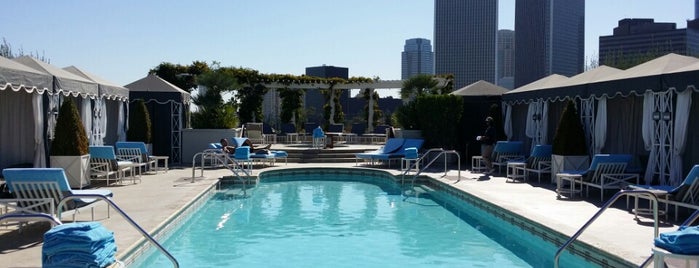 The Roof Garden is one of dineLA Fall 2011 ($$$).