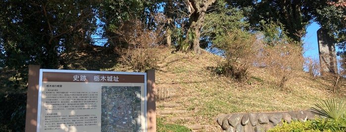 Tochigijoshi Park is one of 訪問済みの城.