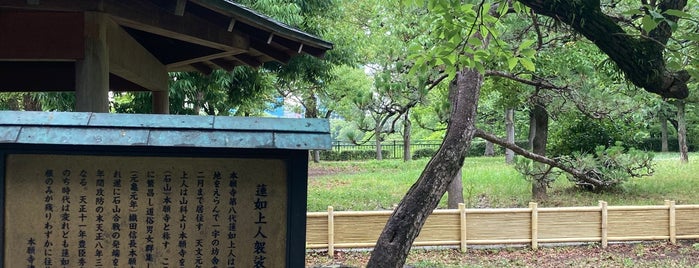 Rennyo Shojin Kesa's Pine is one of 大阪城の見所.