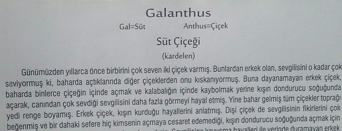 Süt Çiçeği is one of Posti salvati di Aydın.