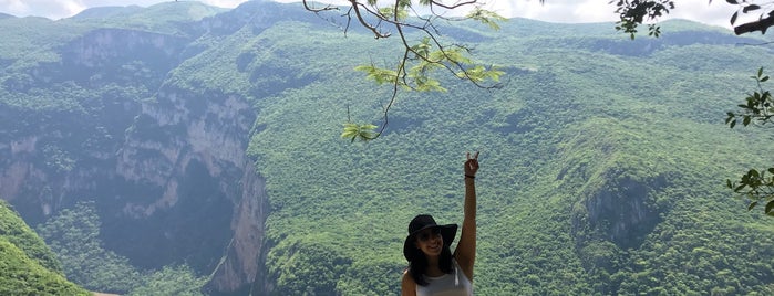 Mirador La Ceiba is one of Tempat yang Disukai Quique.