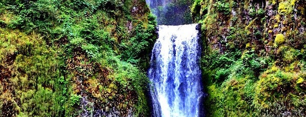 Multnomah Falls is one of Oregon.
