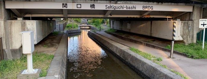 関口橋 is one of 渡った橋（東京都区内）.