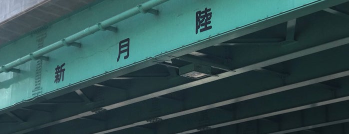 Shingetsu Rikkyo (Overpass) is one of 東京陸橋.