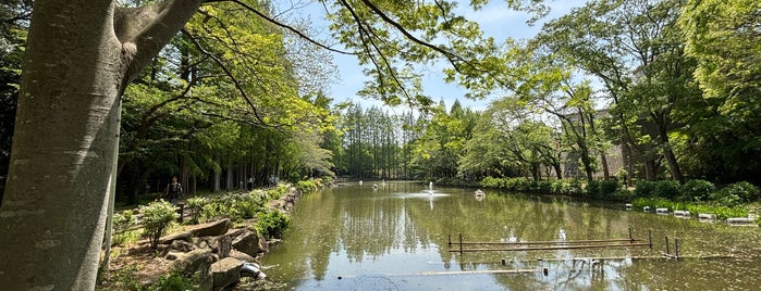貝柄山公園 is one of 公園.