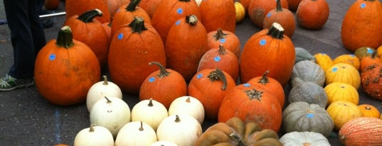 Union Square Greenmarket is one of New York to-do list.