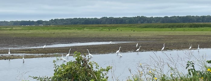 Montezuma National Wildlife Refuge is one of 82 Best Birdwatching Spots in the US.