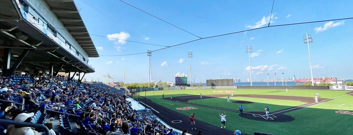 SIUH Community Park is one of Minor League Ballparks.
