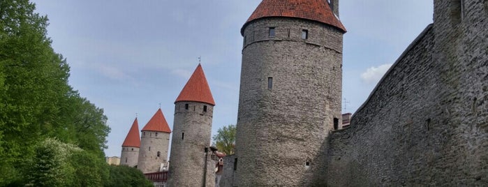 Tornide väljak is one of Great Outdoors in Tallinn.