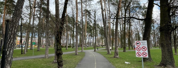 Ірпінський міський парк ім В. Правика is one of Ukraine.