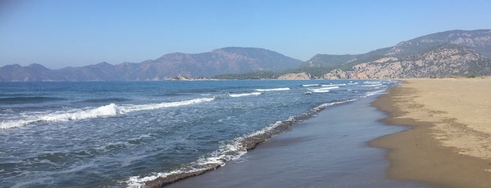 İztuzu Plajı is one of สถานที่ที่ Fatih ถูกใจ.