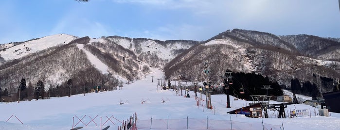 Hakuba Goryu Snow Resort is one of Hideo : понравившиеся места.