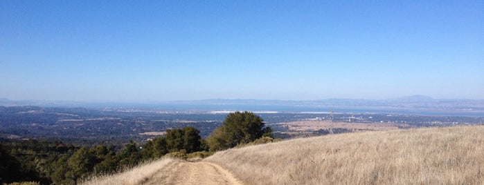 Coal Creek Open Space Preserve is one of Dog hikes on the Peninsula.