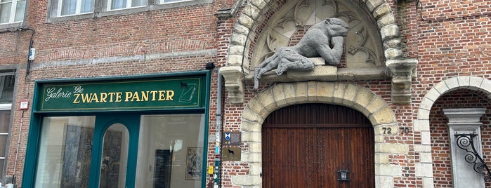 De Zwarte Panter is one of Musea voor museumpas.