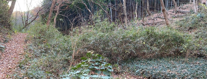 虹ヶ丘側外縁散策路 is one of 神奈川散歩.