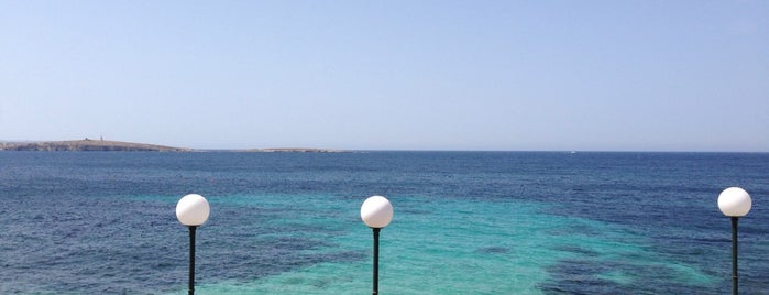Buġibba Perched Beach is one of สถานที่ที่ Sofia ถูกใจ.