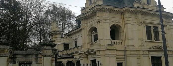 Палац Сапєг is one of Палацы Львова.