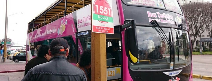 Bus Turistico is one of Alberto J S : понравившиеся места.