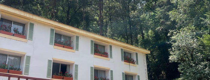 Hotel Paraíso is one of Mineral del Chico.