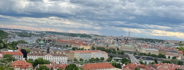 Lobkowiczký palác is one of Prag.