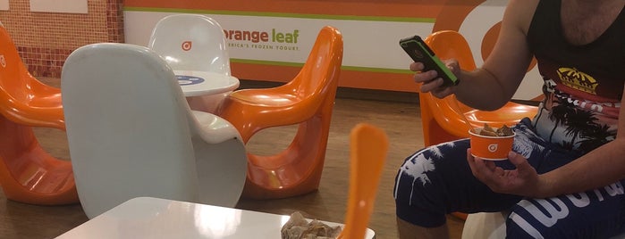 Orange Leaf Frozen Yogurt is one of Places to Try.