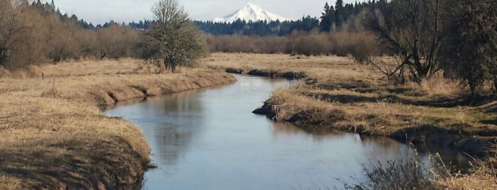 Salmon Creek Trail is one of Vanvouver.