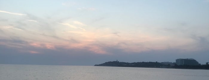 Panda Beach is one of Dr.Gökhan'ın Beğendiği Mekanlar.