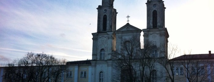 Kaunas Cathedral Basilica of the Apostioles St Peter and St Paul is one of Vlad 님이 저장한 장소.