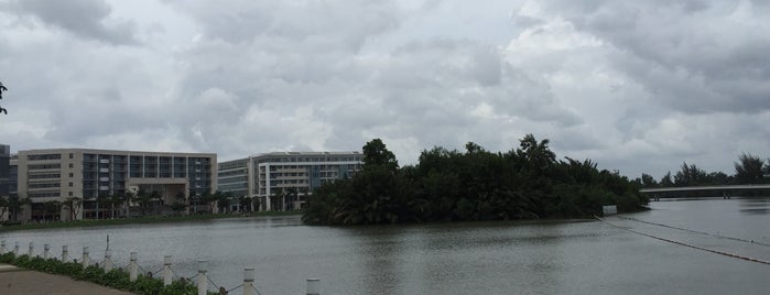 Crescent Lake (Hồ Bán Nguyệt) is one of HCMC.