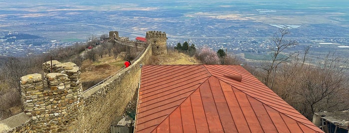 Sighnaghi Great Wall is one of Тбилиси.